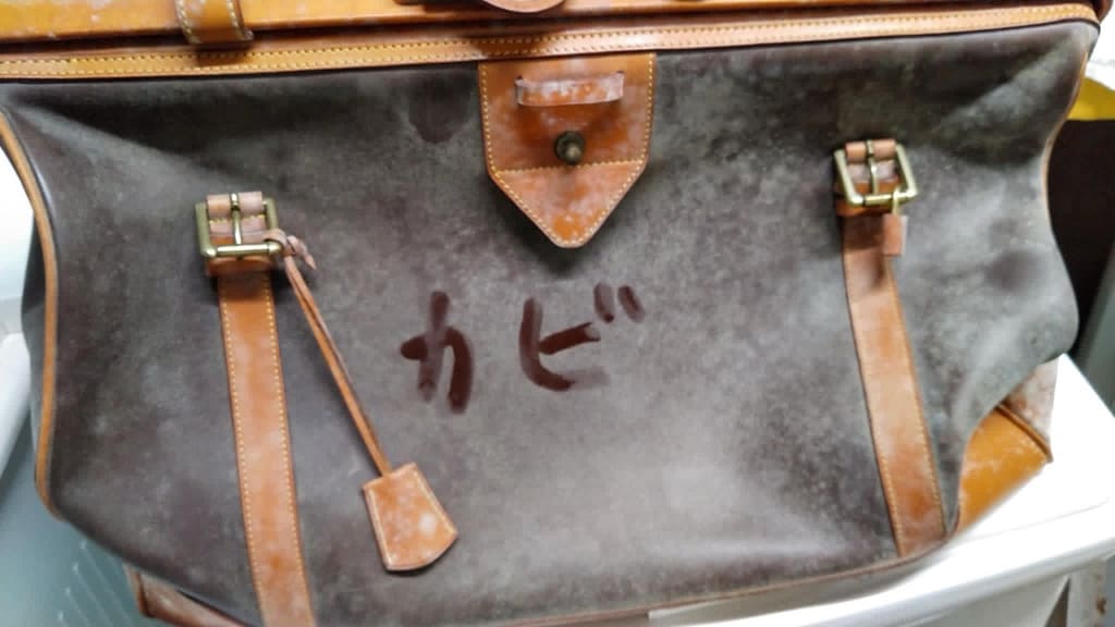 衣類のお医者さん クリーニングオオタ カビが発生した革バッグ クリーニング前の状態