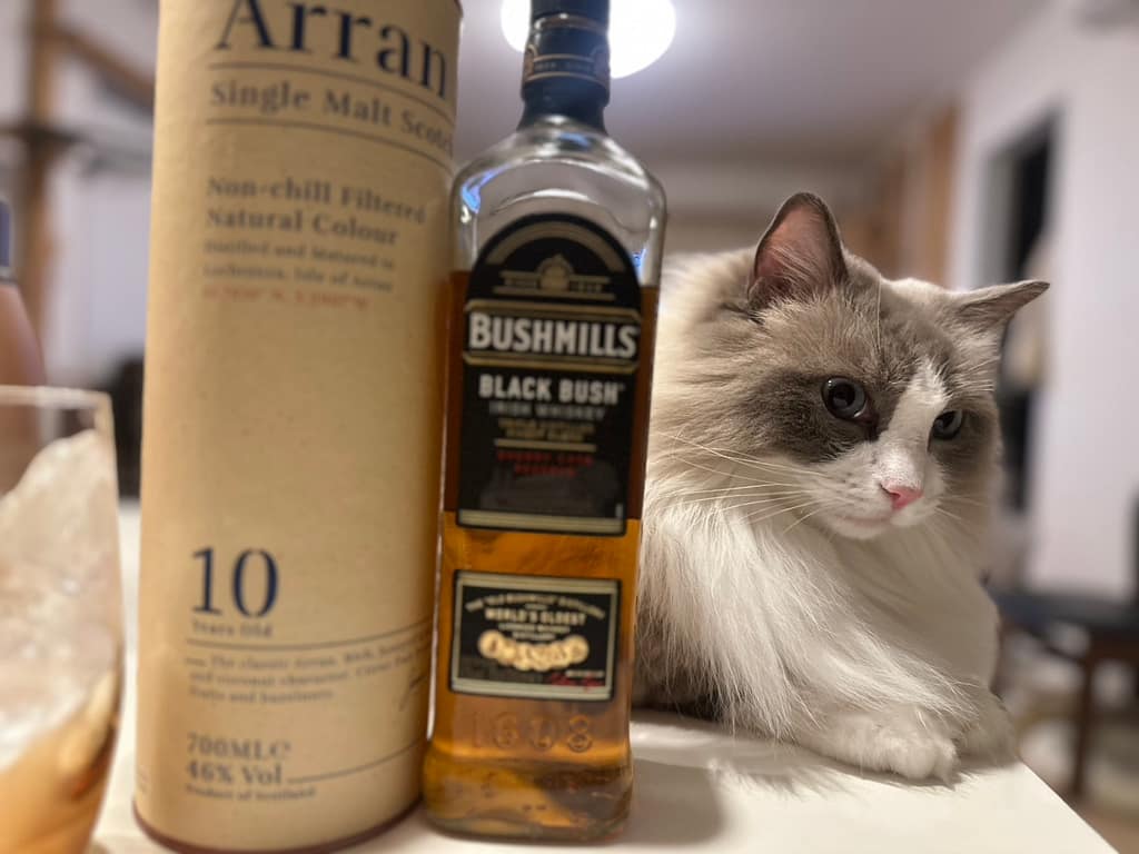 ウイスキーのボトルと一緒に写るファッションクリーニングSuzuki.店主の愛猫レオ君(6歳・オス)