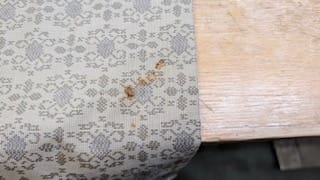 しみ抜き ビフォーアフター 色修正 クリーニング技術