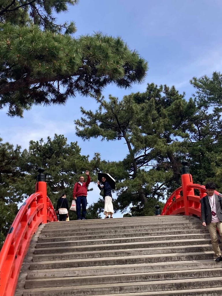 店主が訪れた神社の風景(神社巡りの様子)